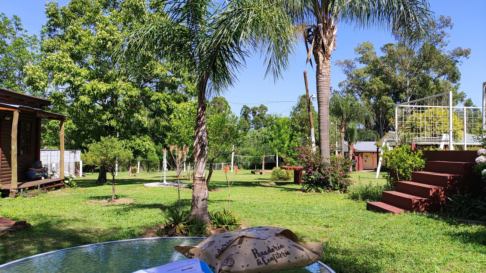 Jardín con palmeras y deck del complejo Dakota