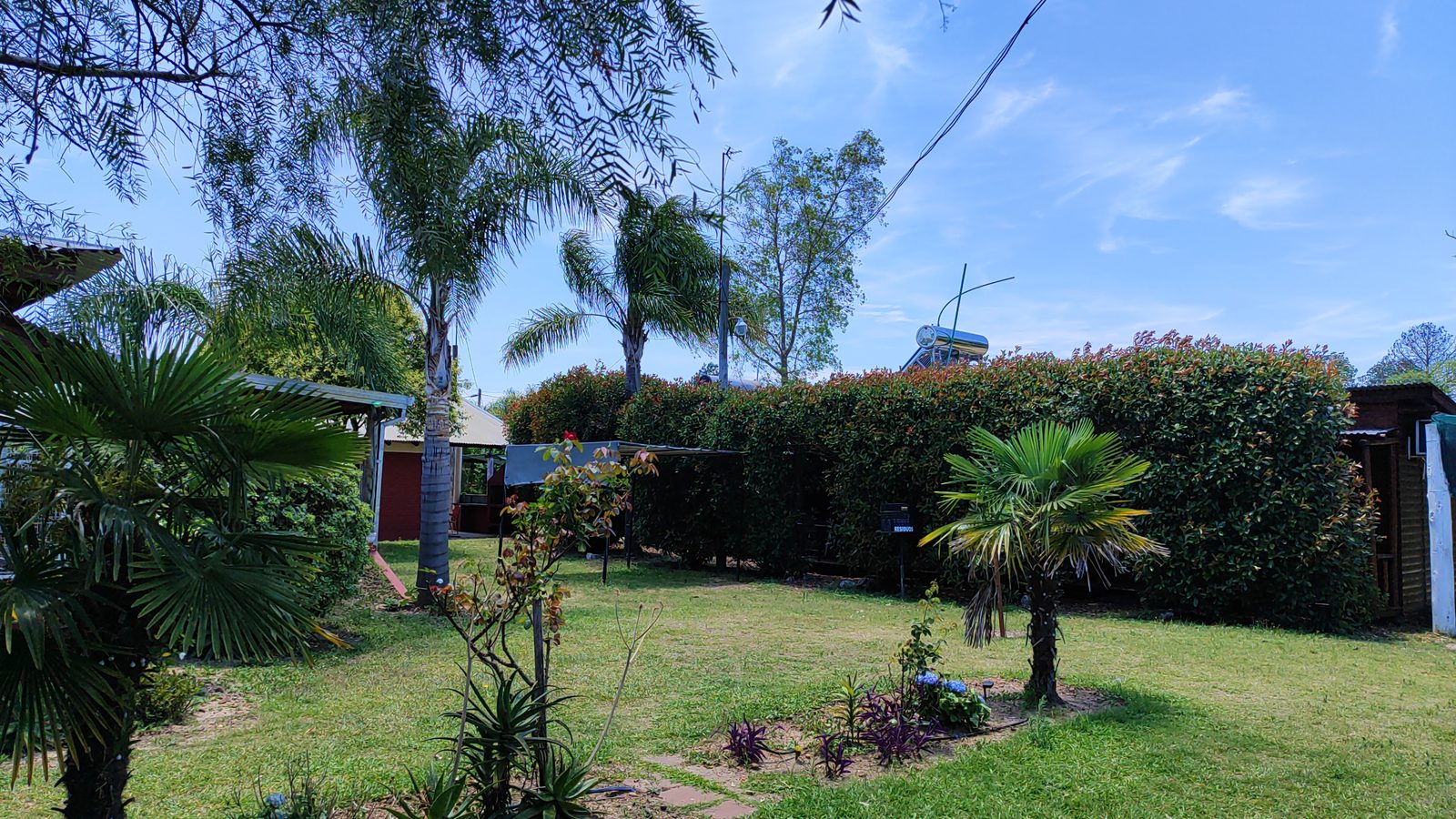 Parque verde con palmeras y cabañas del complejo Dakota