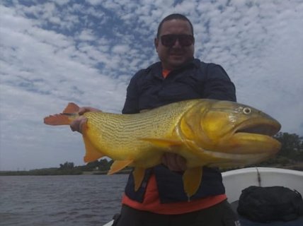 Pesca de dorado en el río Uruguay con guía local, Concordia